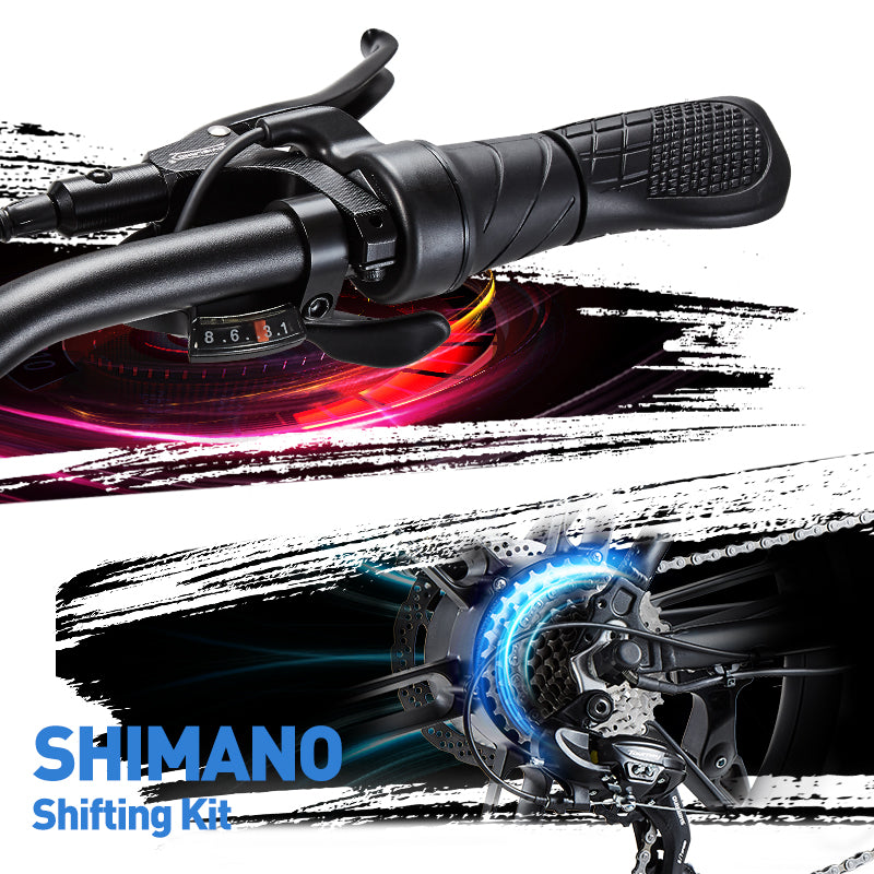 BURCHDA-R8V-20 inch snow e-bike 4.0 tire