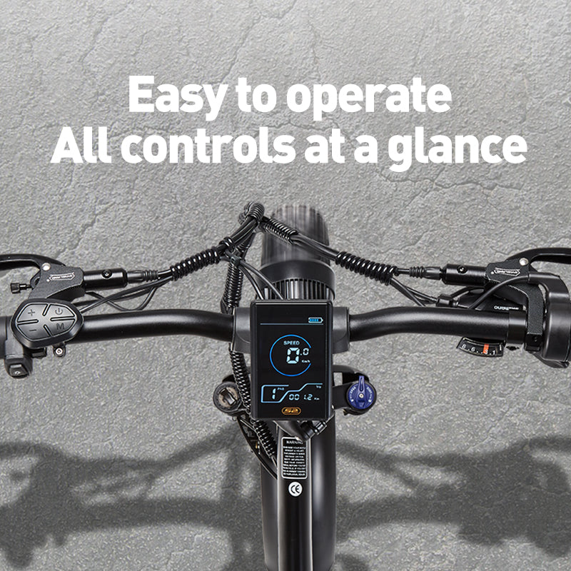 BURCHDA-R8V-20 inch snow e-bike 4.0 tire