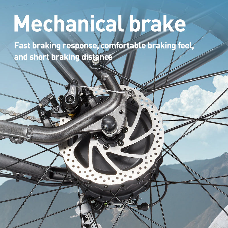BURCHDA-RX20-26 inch snow e-bike 4.0 tires