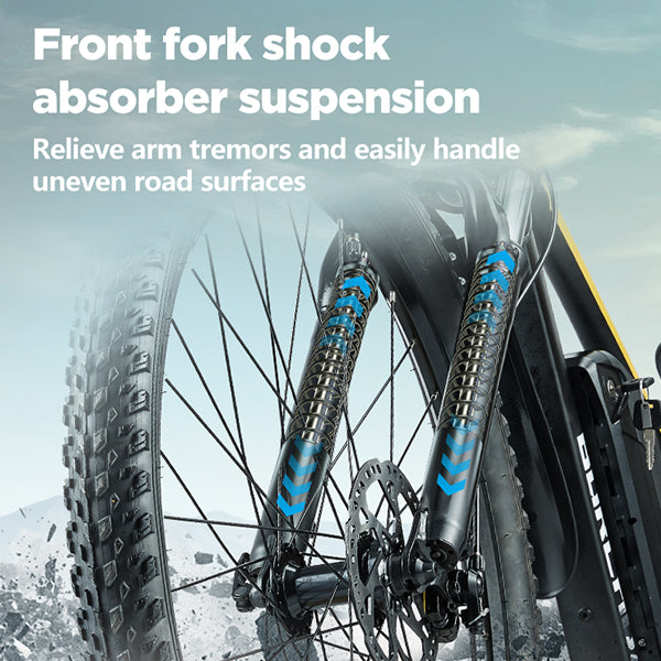 BURCHDA-RX60-27.5 inch mountain E-bike 2.8 tires