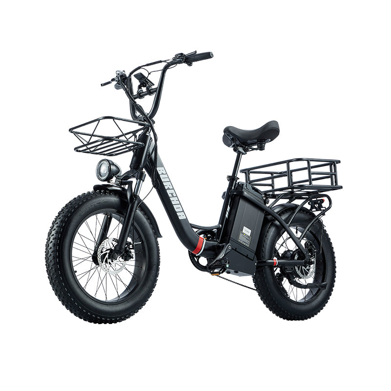 BURCHDA-U8-20 inch snow electric bike