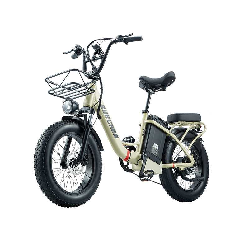 BURCHDA-U8-20 inch snow electric bike